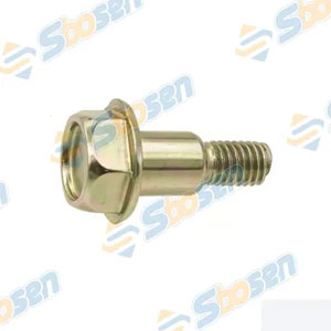 [2430-2445] other bolts 其他螺栓